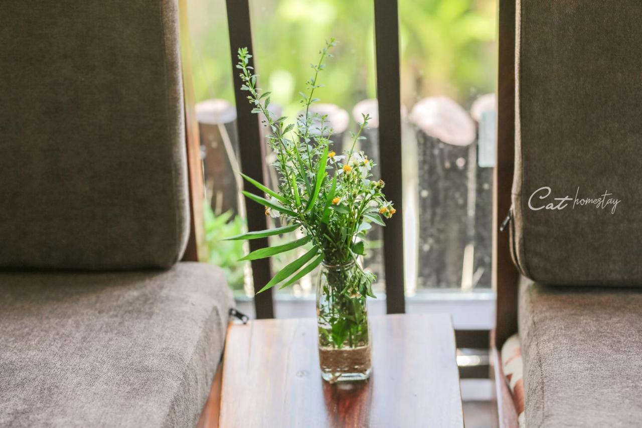 Cat Homestay Hue Zewnętrze zdjęcie