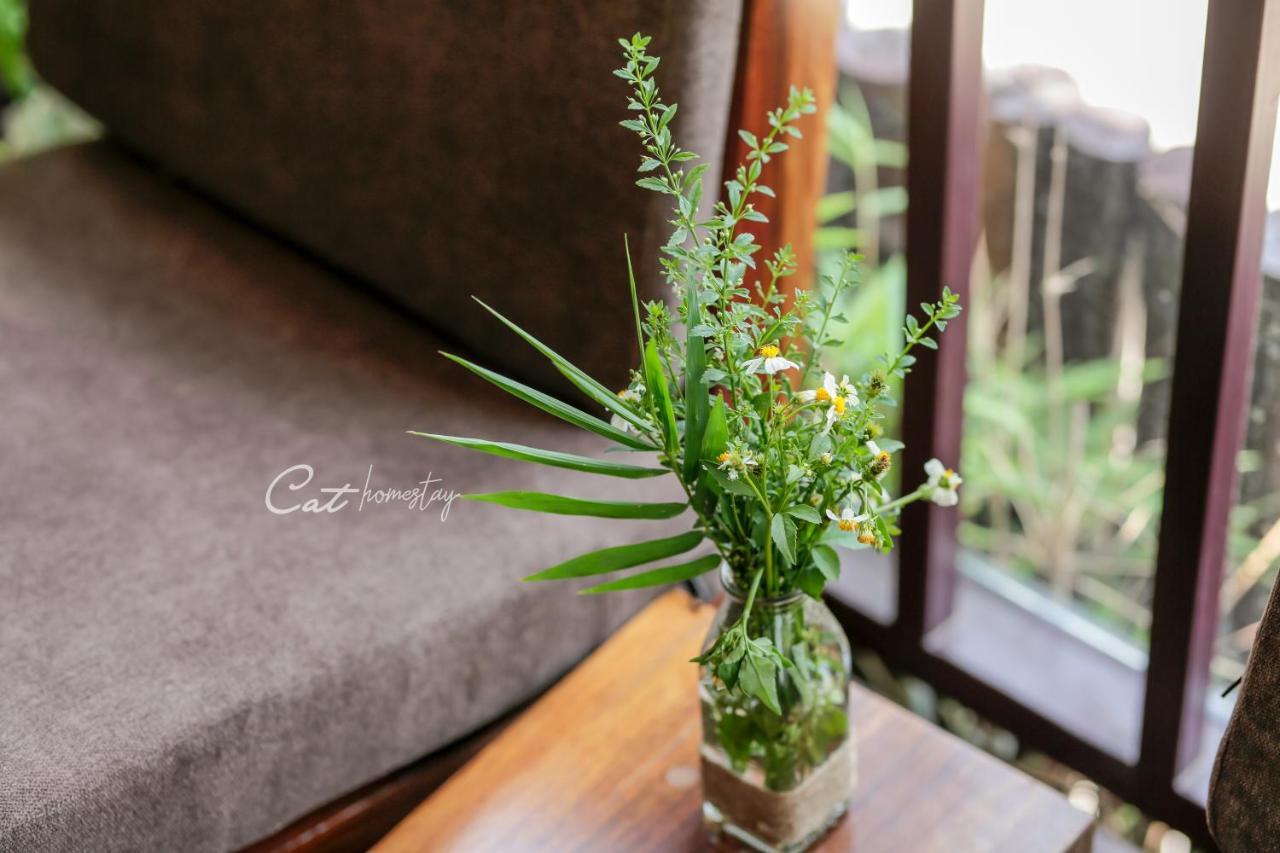 Cat Homestay Hue Zewnętrze zdjęcie