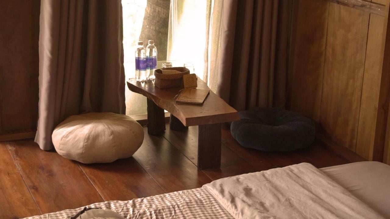 Cat Homestay Hue Zewnętrze zdjęcie