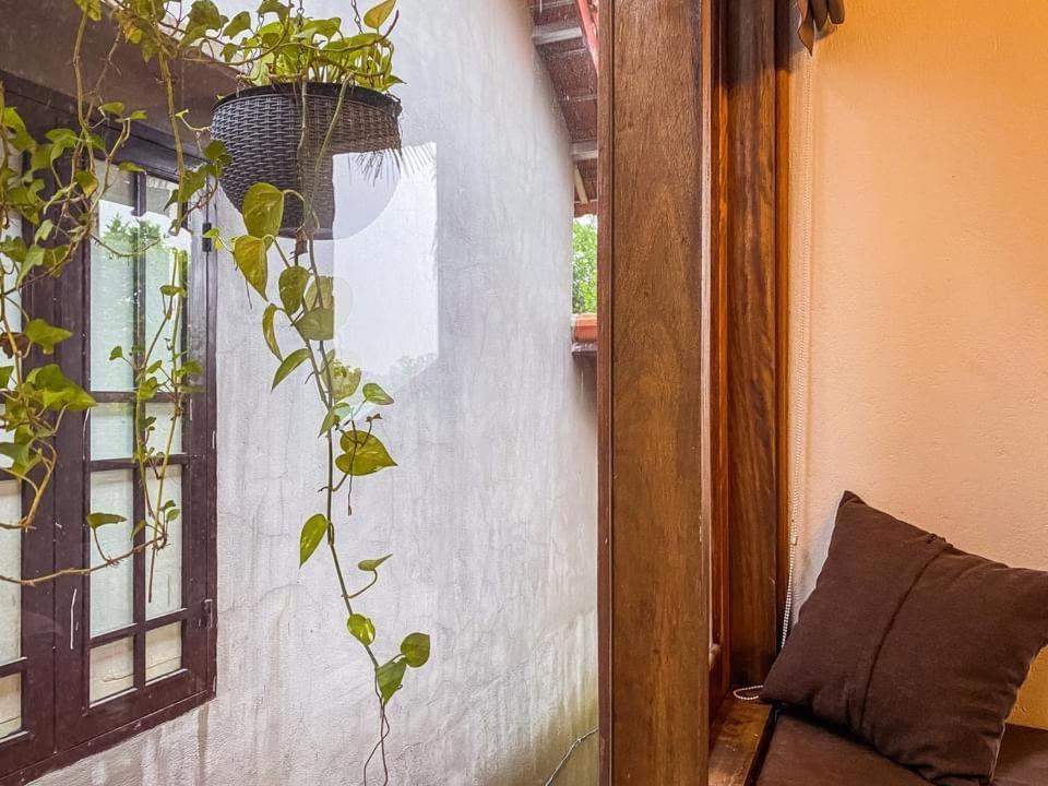 Cat Homestay Hue Zewnętrze zdjęcie
